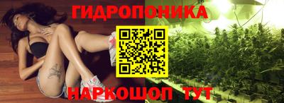 твердый Сланцы