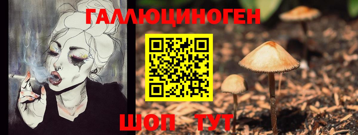 как найти   Вход с VPN  Королёв  Галлюциногенные грибы Psilocybine cubensis  Галлюциногенные грибы ЛСД 