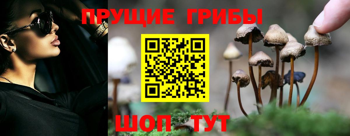 Псилоцибиновые грибы мицелий Королёв